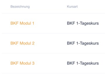 BKF Manager – Modulübersicht